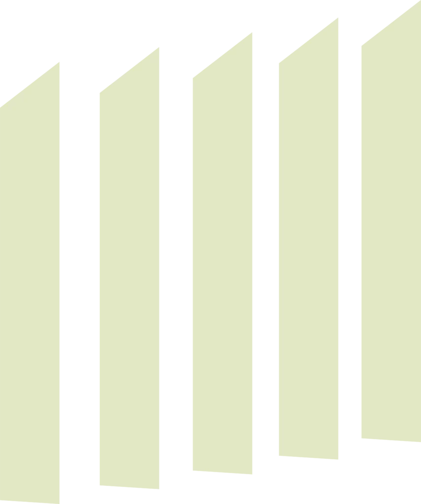 skoda academy logo kopie